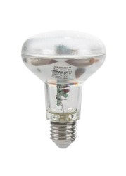 Osram E27 Parathom Dim R 80 Led Lamp (5.9 W, Warm White)