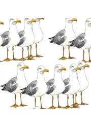 Albatross Walk Transluent Roller Blinds W: 120cm H: 200cm