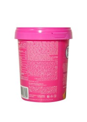 BASKIN ROBBINS PRALINE&CREAM 500ML