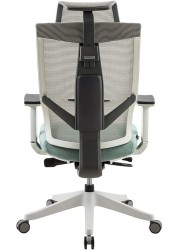 Aero Mesh Ergonomic Chair, Premium Office &amp; Computer Chair with Multi-adjustable features by Navodesk (MINT GREEN)