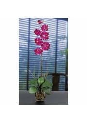 Nearly Natural 1104-BU Single Phalaenopsis Liquid Illusion Silk Flower Arrangement, Beauty