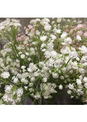 YSBER 10Pcs Baby Breath/Gypsophila Artificial Fake Silk Plants Wedding Party Decoration Real Touch Flowers DIY Home Garden(White)