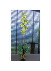 Nearly Natural 1104-GR Single Phalaenopsis Liquid Illusion Silk Flower Arrangement, Green