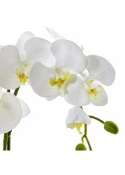 Nearly Natural 4569 Phalaenopsis Orchid in Ceramic Pot,White,19tall