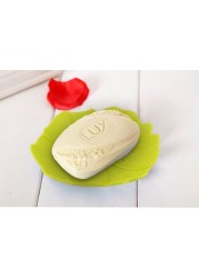 AMAZING IDEAS SOAP DISH