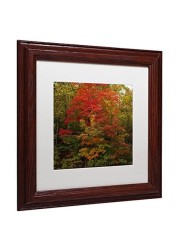 Trademark Fine Art Why I Love Autumn 2 Wall Decor By Kurt Shaffer, 11&quot; X 11&quot;, Wood Frame, White Matte