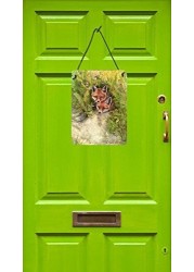 Caroline&#39;s Treasures Cdco0324Ds1216 Fox Cubs Peepers By Debbie Cook Wall Or Door Hanging Prints, 12X16, Multicolor