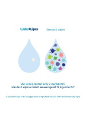 Water Wipes Purest Baby Wipes 60 Pieces