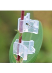 100pcs Transparent Reusable Durable Portable Garden Seedling Tools Greenhouse Plants PE Fruit Vegetable Grafting Clips