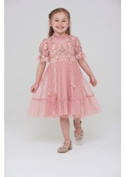 Amelia Rose Pink Embroidered Short Sleeves Dress