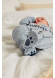 Bear Family Single Sleepsuit (0-2yrs)