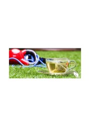 RISTON PURE GREEN TEA LOOSE 200G