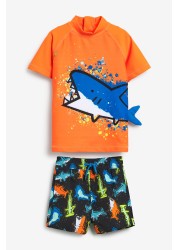 2 Piece Rash Vest And Shorts Set (3mths-7yrs)