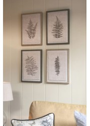Set of 4 Country Botanical Framed Art