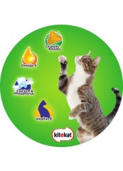 Kitkat mackerel dry cat food 1.4 kg