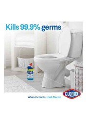 Clorox toilet bowl cleaner original 709ml