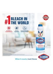 Clorox Original Bleach 470 ml