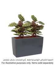 Artevasi Marbella Plastic Plant Box (76 cm)