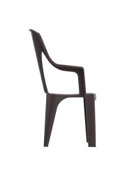 Cosmoplast Plastic Queen Armchair (59 x 58 x 93 cm)