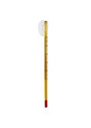 Chicos Glass Thermometer (14.5 cm)