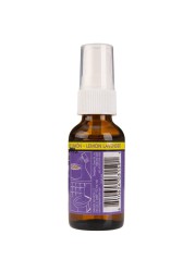Paradise Air Odor Eliminator Spray (30 ml, Lemon Lavender)