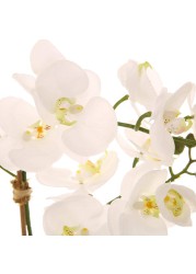 Artificial Orchid Plant (60 cm, White)
