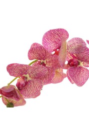 Artificial Orchid Plant (60 cm, Light Purple)