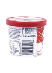 Häagen-Dazs raspberry syrup 100 ml