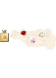 Aoud Oriental perfume - Eau de Parfum - 100 ml by Versace for women