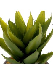 Artificial Potted Agave Plant (30 cm)