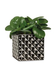 Scheurich Crystal Ceramic Plant Cover Pot (11 cm)