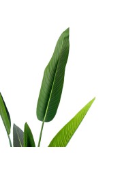 Mr Plant Strelitzia Artificial Tree W/Black Pot (30 x 30 x 185 cm)