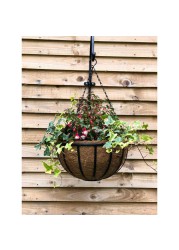 Tildenet Cambridge Strip Wire Hanging Basket W/Coco Liner (30 cm)