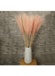 Yatai Natural Dried Pampas Grass Flowers - Pink