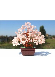 Feng Shui Natural Rose Pink Quartz Crystal Money Tree Bonsai Style Decoration for Wealth and Luck