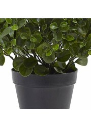 Nearly Natural Peperomia Indoor/Outdoor UV Resistant Plant, 23
