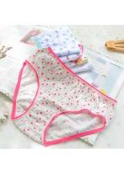 12pcs/lot Baby Girls Underwear Cotton Short Kids Panties Briefs Children Underwear 2-12Y