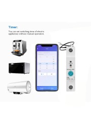 1P Din Rail WIFI Smart Energy Meter Energy Consumption KWh Meter Circuit Breaker Time Timer Switch Relay Voltmeter For Smart Home