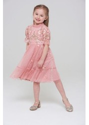 Amelia Rose Pink Embroidered Short Sleeves Dress