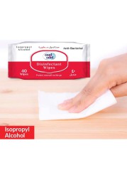 Cool & Cool Disinfectant Anti Bacterial Wipes Twin Pack