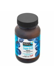 Blueberry Naturals Super B12 1000 mcg Lozenges 100&#039;s B0067