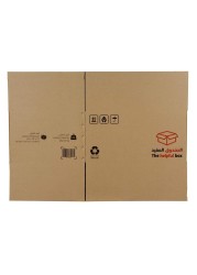 Ace 5 Ply Carton Box (60.9 x 45.7 x 30.4 cm)