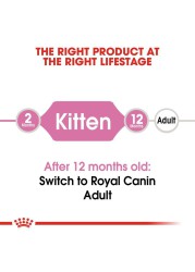 Royal Canin Feline Health Nutrition Kitten Food (10 kg)