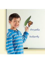 Learning Resources Magnetic Butterfly Life Cycle