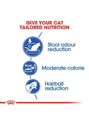 Royal Canin Odour Reduction Cat Food (Indoor Cats, 400 g)