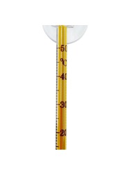 Chicos Glass Thermometer (14.5 cm)