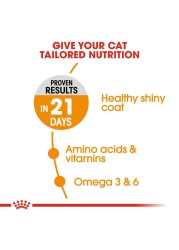 Royal Canin Feline Care Nutrition Hair & Skin Cat Food (10 kg)