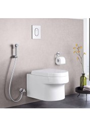 Grohe 27812 Shattaf Set (Silver)