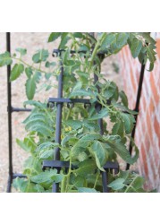Haxnicks Tomato Crop-Booster Frame
