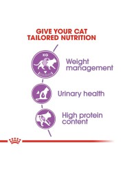 Royal Canin  Feline Nutrition Sterilised Cat Food (2 kg)